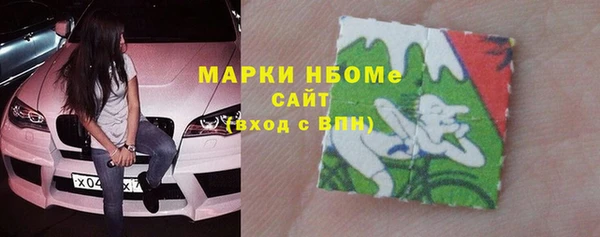 шишки Осинники