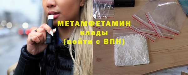 шишки Осинники