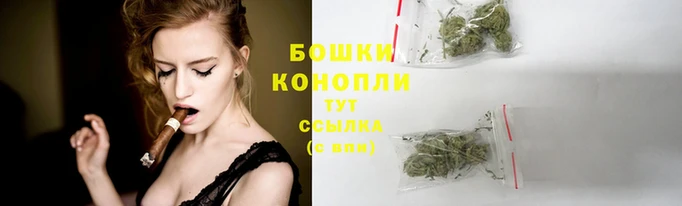 каннабис Аркадак