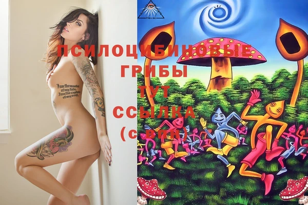 дмт Остров