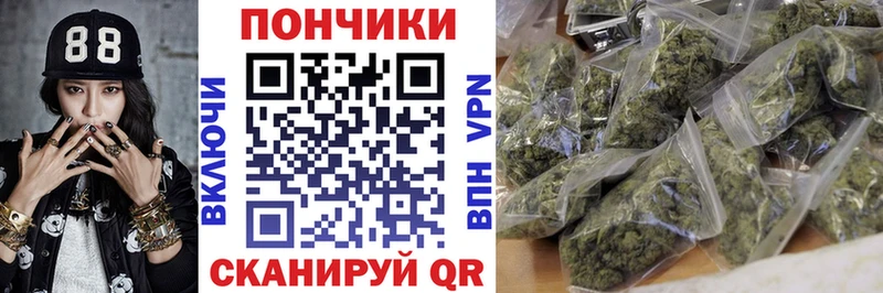 Бошки марихуана OG Kush Белая Холуница